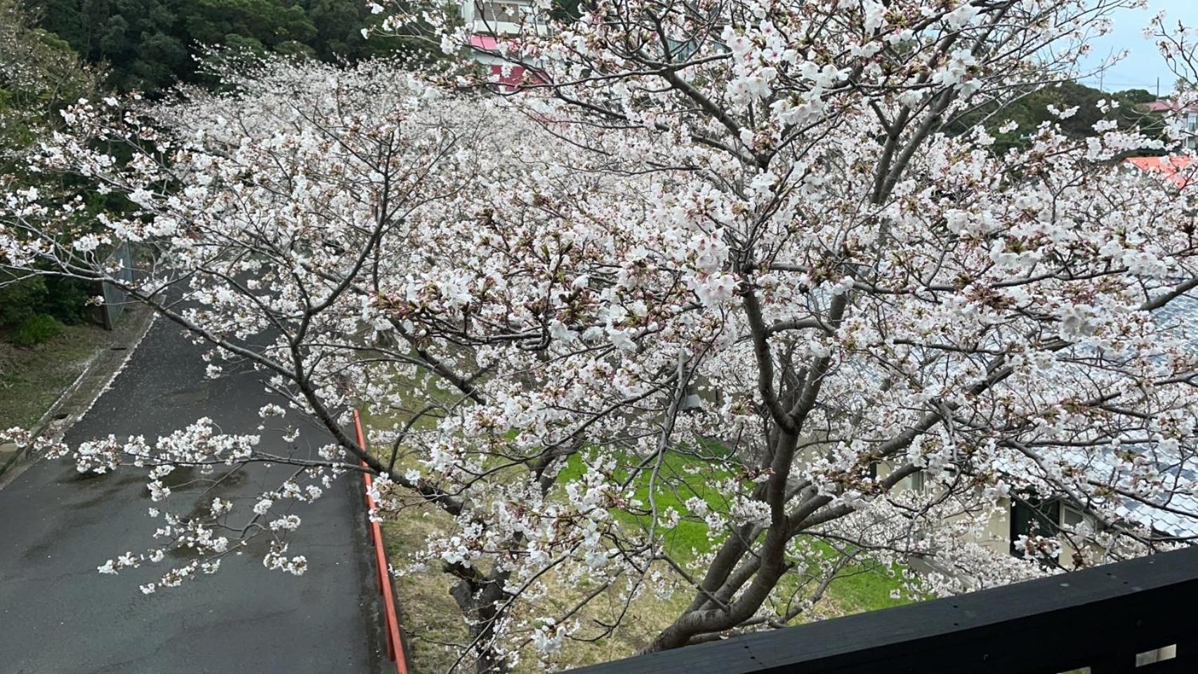 Shirahama Meiji Villa Zewnętrze zdjęcie